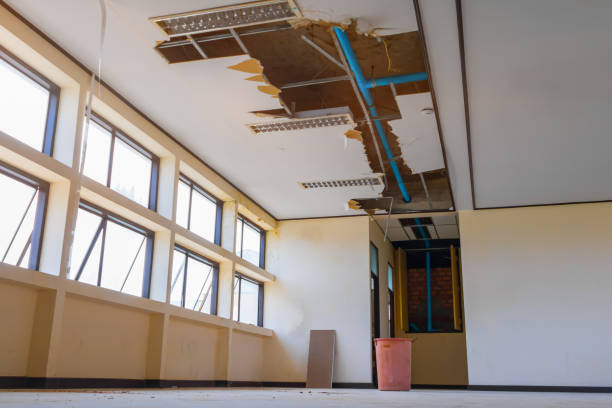 Best Water damage restoration near me  in Aurora, TX