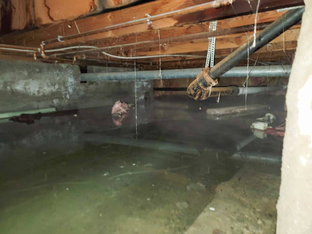 Best Water damage restoration experts  in Aurora, TX