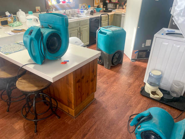 Best Water damage restoration near me  in Aurora, TX
