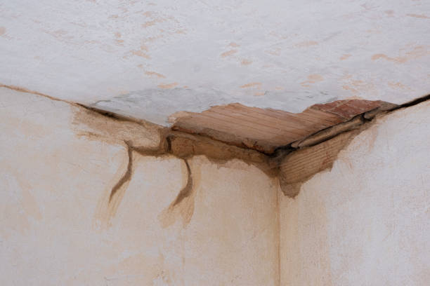 Best Mold removal after water damage  in Aurora, TX