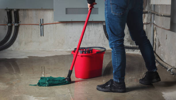 Best Flooded house restoration  in Aurora, TX