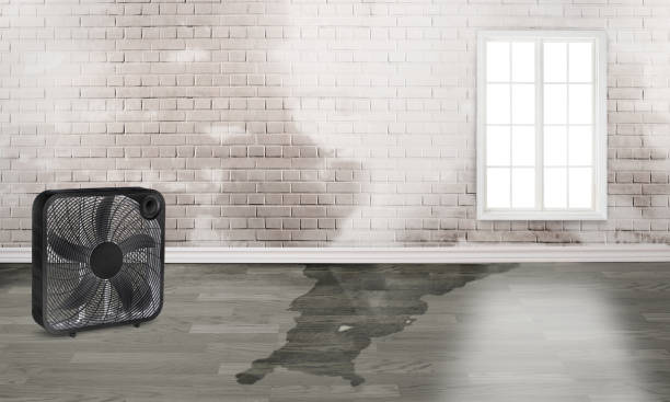 Best Sewage cleanup and water damage restoration  in Aurora, TX