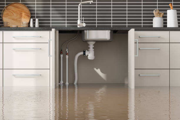 Best Ceiling water damage repair  in Aurora, TX