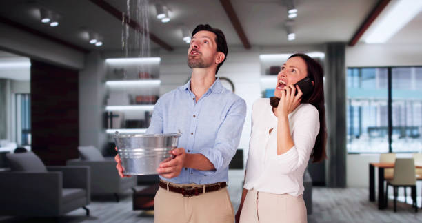 Best Basement water damage restoration  in Aurora, TX
